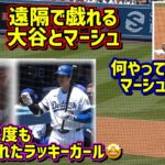 ほっこり‼️大谷のファンサに大喜びの少女🥰マーシュと大谷が…😂 【現地映像】5/31vsフィリーズShoheiOhtani