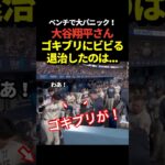 大谷翔平がベンチに出たゴキブリにびっくり‼️パヘスが見事に退治する！