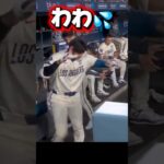 ゴキブリにびっくりするドジャース大谷翔平￼