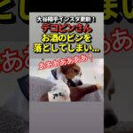 🐶デコピンがお酒を落としてしまう！大谷翔平がインスタ更新！