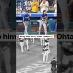 Dodgers are protecting Shohei Ohtani from his own teammate