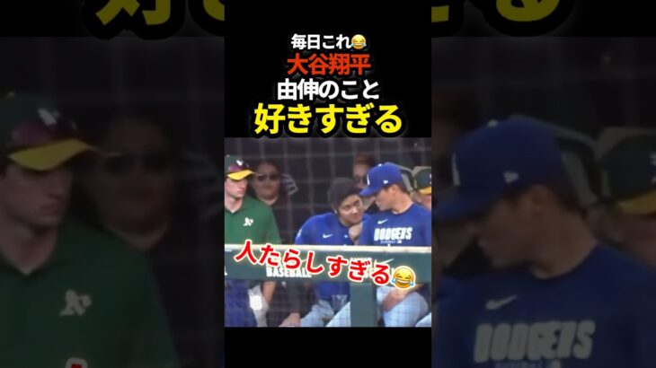 大谷翔平、由伸大好き　#ドジャース #プロ野球 #shoheiohtani #山本由伸 #大谷翔平