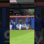 大谷翔平はなぜこんなにも愛されるのか？