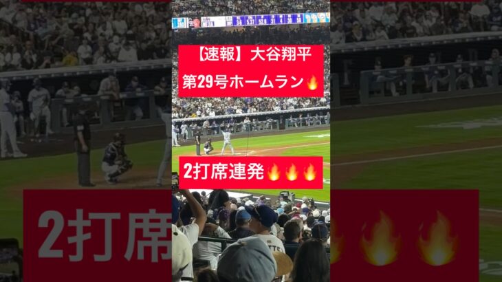 【速報】大谷翔平 第29号ホームラン🔥2打席連発🔥 #大谷翔平 #大谷 #ドジャース #ホームラン #今日の大谷さん #HR #現地映像 #ohtani #第29号 #第28号 #29号 #28号