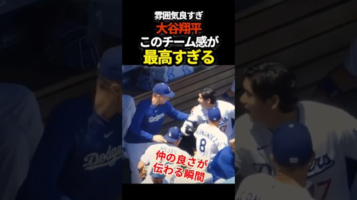 大谷翔平、楽しそう　#プロ野球 #mlb #大谷翔平 #shorts #ドジャース