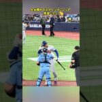 大谷翔平が愛される理由…この行動に人柄が表れている