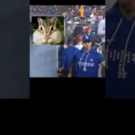 暇過ぎて食べまくるドジャース大谷翔平！4試合連続スタメン落ち