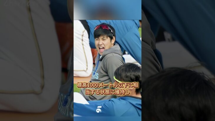 大谷翔平は真美子のために5000万円をかけてチャーター機で帰国し世間を驚かせた #大谷翔平