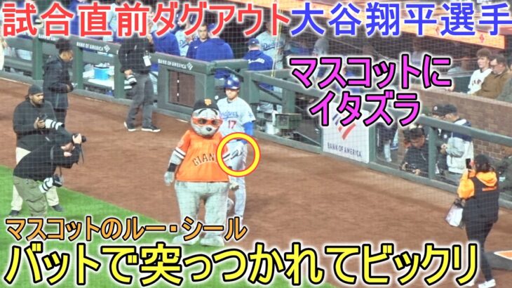 ♦マスコットのルー・シールにイタズラ♦️【大谷翔平選手】対サンフランシスコ・ジャイアンツ〜シリーズ初戦〜Dodgers vs Giants 2026