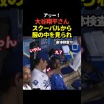 大谷翔平がスクーバルから何やら触られたりみられたりしていると話題に！