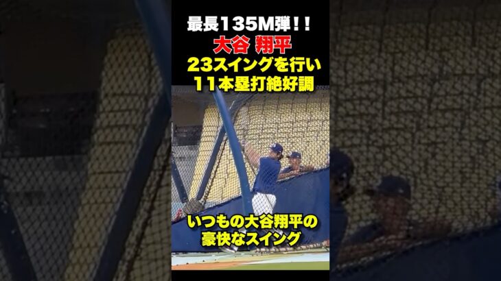 大谷翔平が屋外フリー打撃で23スイング中11本塁打🔥いつものスイングに‼️