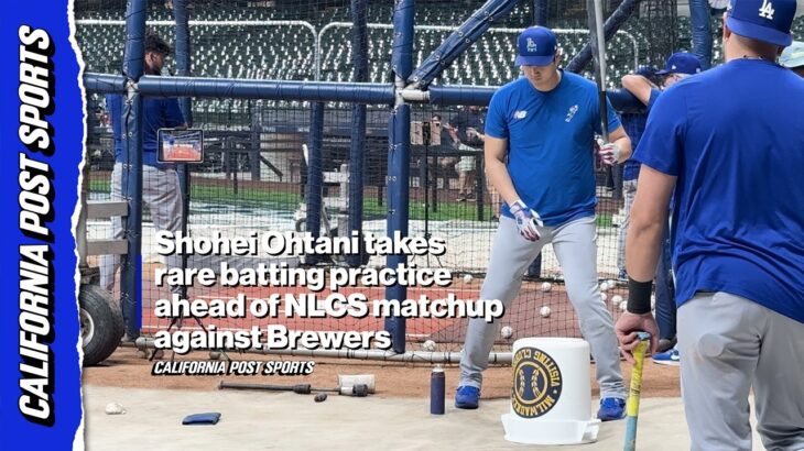 Dave Roberts, Dodgers Batting Coach Address Shohei Ohtani Workout