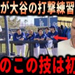 【大谷翔平】「翔平、何かおかしいぞ…」フリーマンが明かしたPS直前の異様な打撃練習…全選手が見守った理由と、大谷の打撃を進化させる特別な技術の真相に全米騒然【海外の反応・MLB】