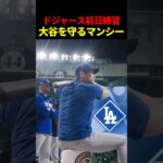 マンシーに守られる大谷さん #海外の反応 #ドジャース #大谷翔平