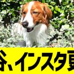 大谷、インスタ更新でデコピン投稿！