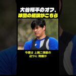 大谷翔平のオフ、球団の結論がこちら